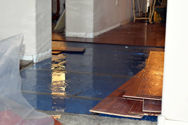 Professional Water Damage Restoration technician working in Channelview, TX